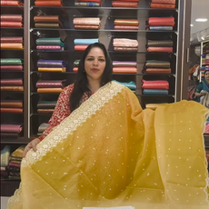 Organza Sarees with Hacoba blouse butt - NA01